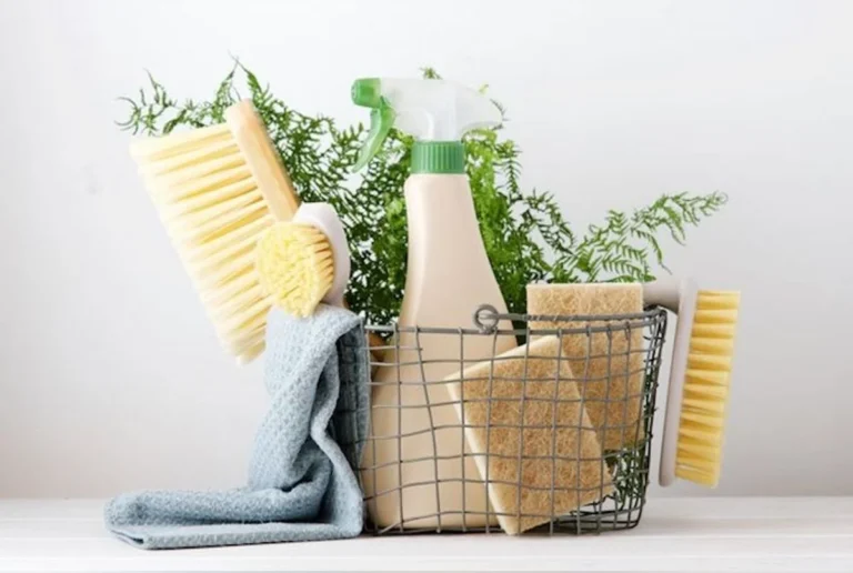 Réduire l&rsquo;Usage des Produits Chimiques à la Maison