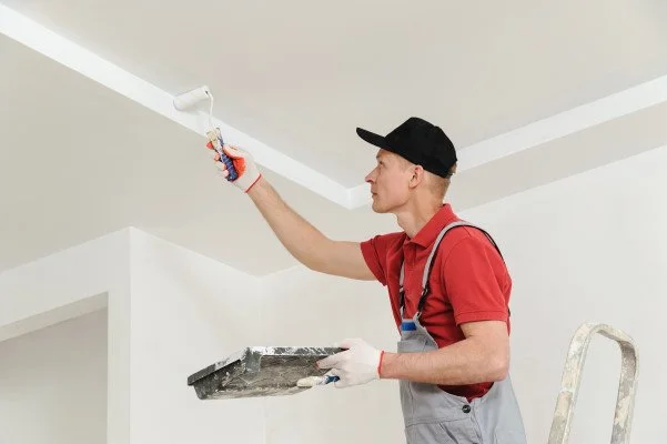 Comment choisir la bonne peinture pour vos murs et plafonds