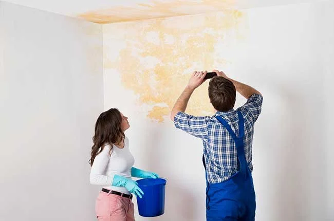 Comment Réparer les Dommages Causés par l&rsquo;Eau avec la Peinture Glycéro ?